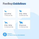 Pain Relief Soft Chews | Fast Pain Relief | Natural Aspirin | Anti-Inflammatory | Recovery | Made in USA | with Willow Bark & Cat'S Claw