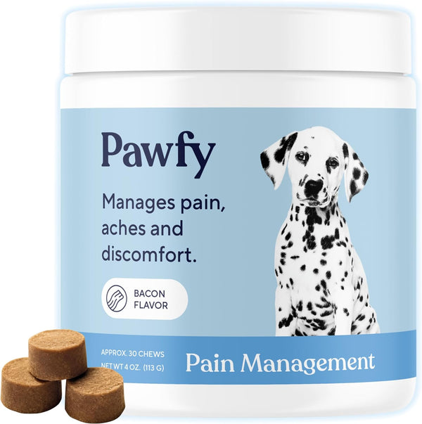 Pain Relief Soft Chews | Fast Pain Relief | Natural Aspirin | Anti-Inflammatory | Recovery | Made in USA | with Willow Bark & Cat'S Claw