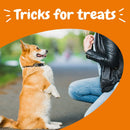 Bacon Flavored All-In-One Training Treats for Dogs - 8 Oz of Soft Chews