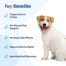 Pain Relief Soft Chews | Fast Pain Relief | Natural Aspirin | Anti-Inflammatory | Recovery | Made in USA | with Willow Bark & Cat'S Claw