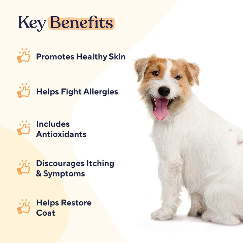 Dogs Skin & Coat Soft Chews | Allergies | Itching | Licking | Paw Biting | Scratching & More